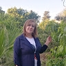 Khaoula Shili