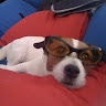 Alberta Pacini