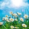 Светлана Гнатусив