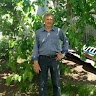 Александр Колесников