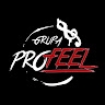 Grupa Profeel