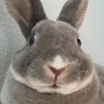 The FluffyMan Cometh