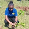 esther. ndinya