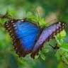 Costa Rica Jungle Retreats  