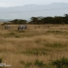 MR Mwangi KIRAGU