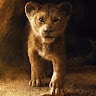 Kelvin Princeston