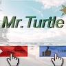 Mr Turtle