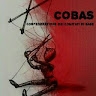 COBAS AMIATA