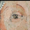 Serena Spadavecchia