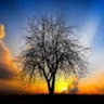 may seven image