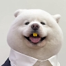Samuel Sun
