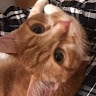 esther  