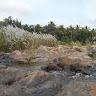 deekshith BN
