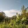 E Wachira