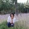 Aye Aung nchu