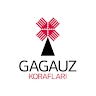 Asociația GAL Gagauz Korafları