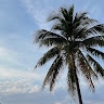 SOLOMON KOLA