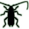 Bug-Juice Productions