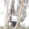 Abba miller