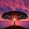 Sadhana Dinesh