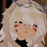 Sora  