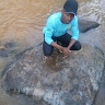 Steve K Tush
