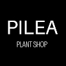 PILEA Plant Shop