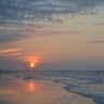 AL_ Z