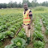 Isaac Agyiri