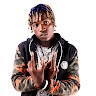 BULLDOZER Big STEPPA