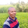 Mureithi Wandeto