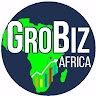 GroBiz Africa