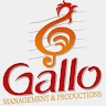 marcy gallo