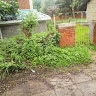 david munene