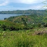 Grace Byamungu