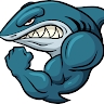 SharkTube  