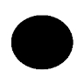 filip black