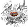 ESKFF NEST