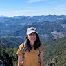 Teresa Pett