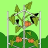 Kiplangat Victor