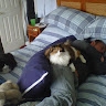 James FitzSimmons