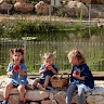 אליהו פרוש