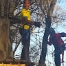 Xolani Ngcobo