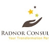 RADNOR CONSULTING
