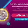 Rabia Niazi
