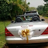 Tibento Investments Ltd