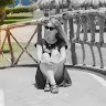 Вікторія Стефанишин