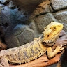Peter R
