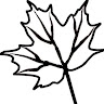 Carleton Syph
