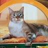 Ludmila Zap